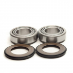 ���������� ������� ������� Bearing Worx SBK50003
